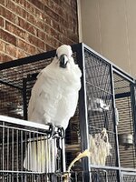 IMG_6298.jpeg