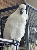 IMG_6300.jpeg