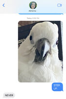IMG_6305.jpeg