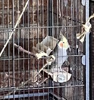 IMG_6326.jpeg