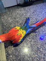IMG_9214.jpeg IMG_9214.jpeg