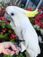 IMG_6361.jpeg