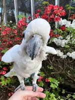 IMG_6358.jpeg