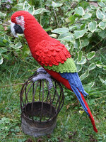 green wing macaw crocheted.jpg