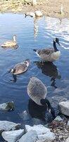 20230731_173131.jpg