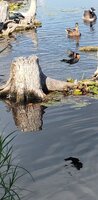 20230731_175152.jpg