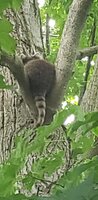 20230803_181848.jpg