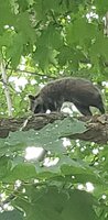 20230803_181657.jpg