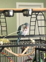 IMG_7905.jpeg