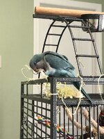 IMG_7904.jpeg