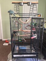 IMG_7903.jpeg