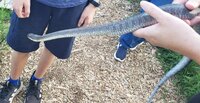 20230826_171825.jpg