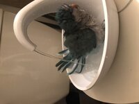 E513452F-830E-4462-B921-088FDE0BC7D3.jpeg