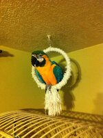 IMG_1221 (1).jpg IMG_1221 (1).jpg