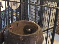 20230919_173156.jpg