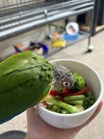 IMG_6543.jpeg