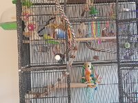 20231106_152409.jpg