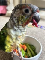 IMG_6600.jpeg