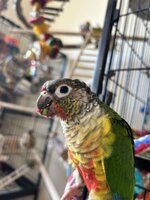 IMG_6602.jpeg