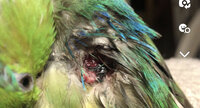 IMG_7929.jpeg
