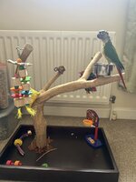 IMG_6695.jpeg