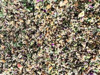 IMG_4942.jpeg