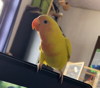 IMG_5718.jpeg
