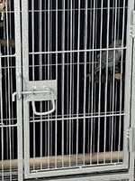 IMG_4113.jpeg