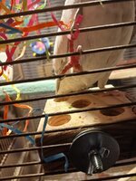 20240103_215720.jpg