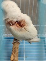 IMG_20240104_201046.jpg