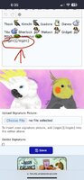 IMG_9327.jpeg