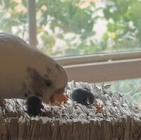 IMG_20240123_121843260.jpg