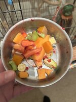 IMG_7578.jpeg