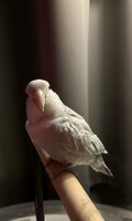 IMG_7893.jpeg