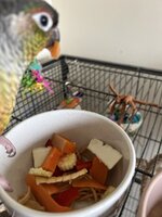 IMG_7635.jpeg