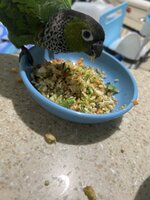 IMG_6175.jpeg
