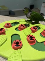IMG_6170.jpeg