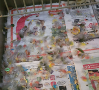 691ecad8e4672a978c5ac2bee790ac33.png