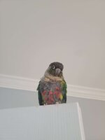 20240206_160012.jpg