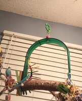 IMG_20240217_204218261_MP.jpg