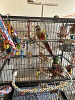 IMG_7906.jpeg