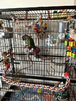 IMG_7905.jpeg