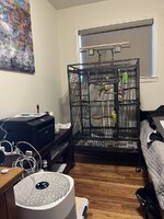 IMG_0463.jpeg