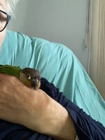 IMG_2997.jpeg