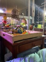 IMG_3238.jpeg