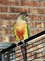 IMG_9787.jpeg