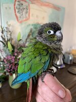 IMG_2723.jpeg