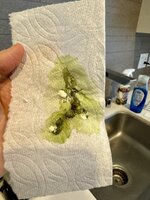 IMG_0946.jpeg