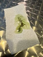 IMG_0943.jpeg