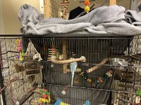 IMG_4292.jpeg